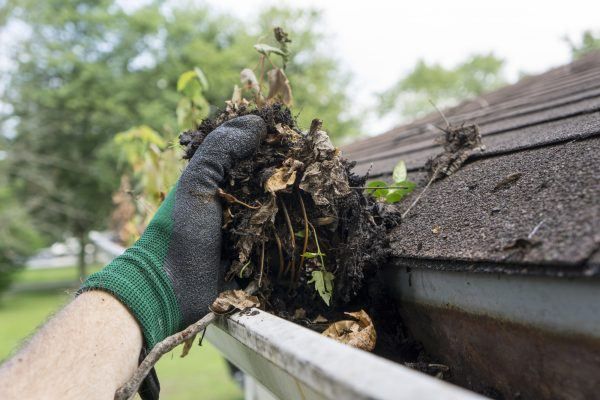 Gutter Cleaning Service near me 2 1