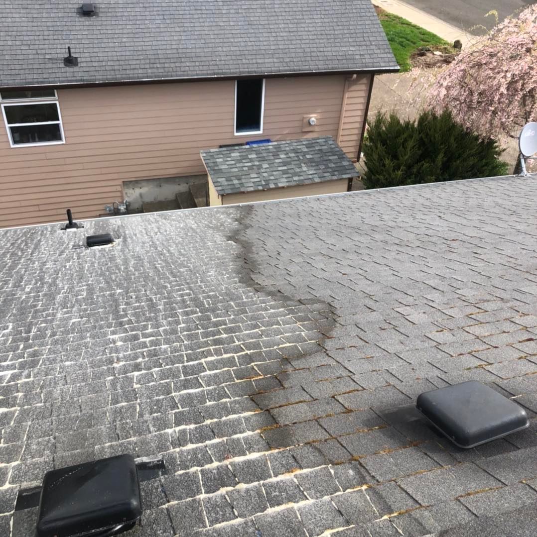 roof cleaning Dallas OH